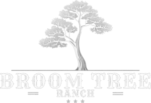 logo wht